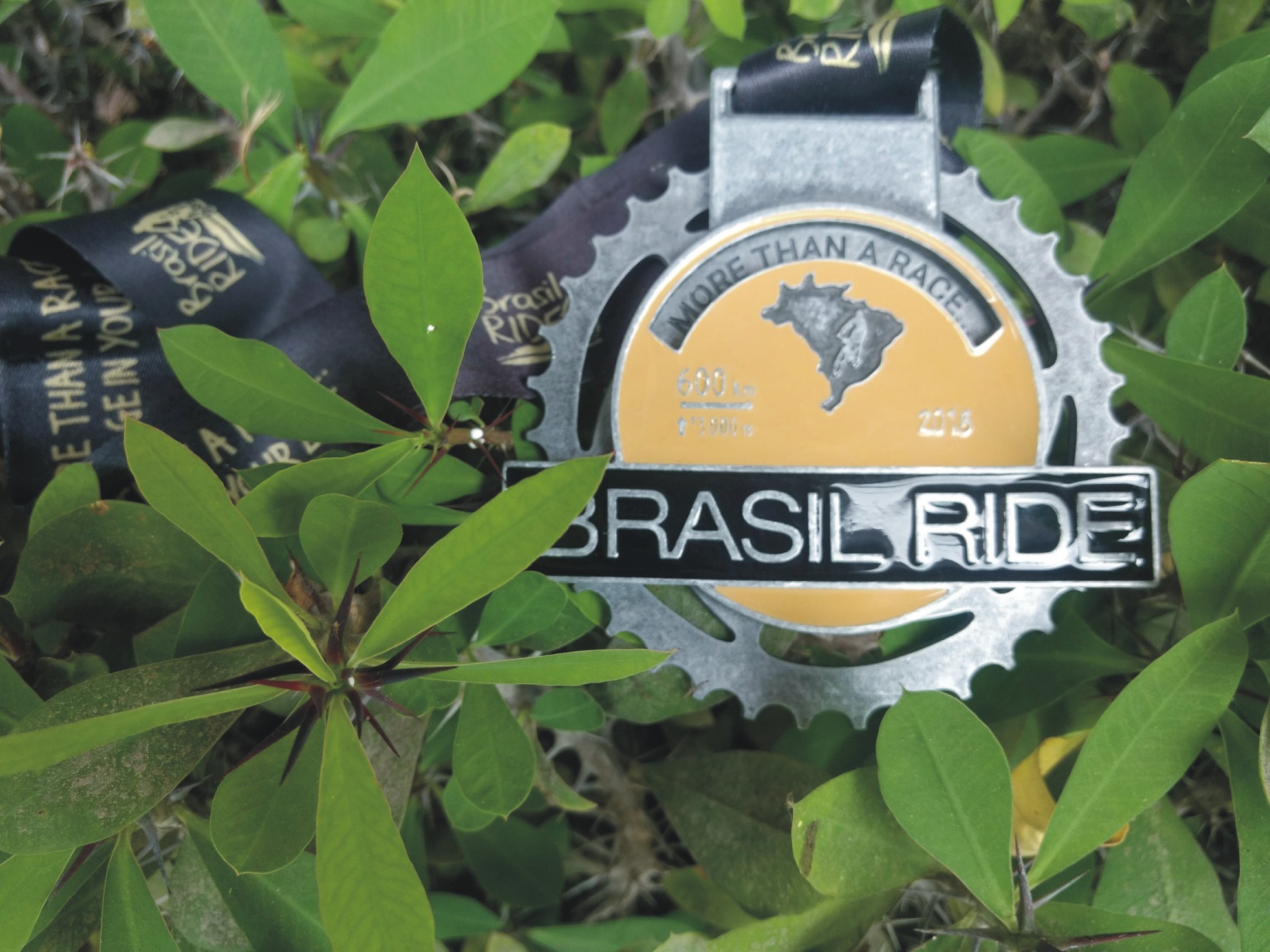 Med Brasil Ride.jpg