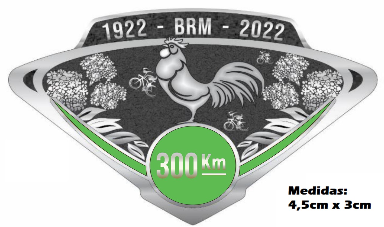 Medalha  300 Comemorativo.jpeg